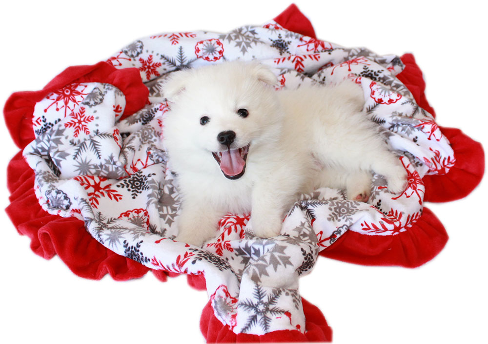 Luxurious Plush Pet Blanket Red Snowflake Full Size
